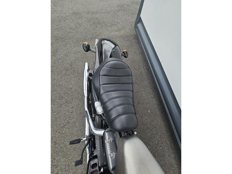 NIGHTSTER 1200