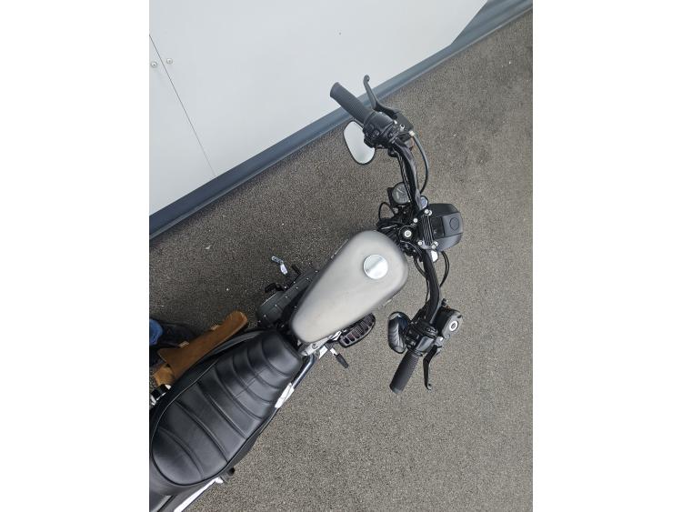 NIGHTSTER 1200