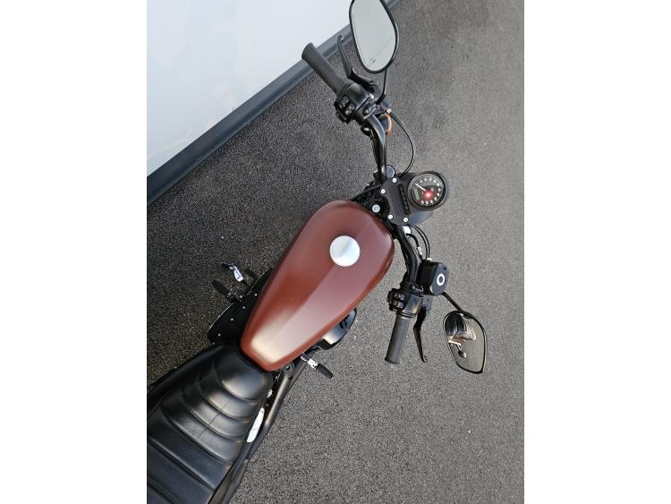 HARLEY-DAVIDSON SPORTSTER IRON 883