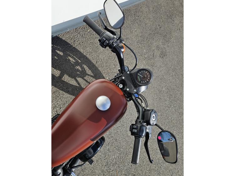 HARLEY-DAVIDSON SPORTSTER IRON 883